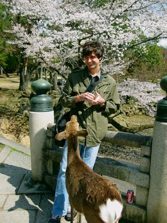 William DeMeo in Nara, Japan